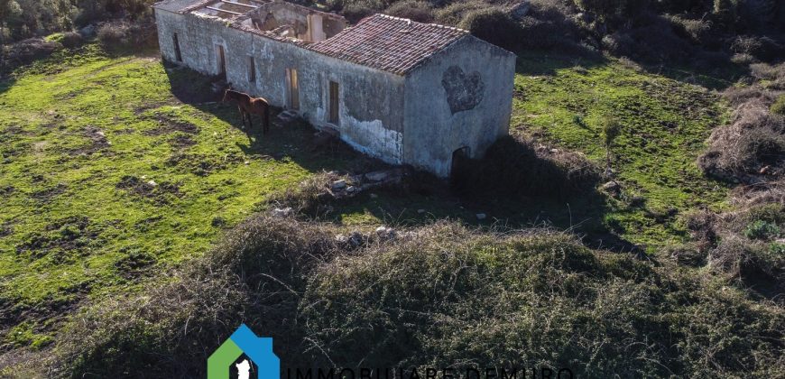 Agenzia Immobiliare a Luogosanto Ref.Canaili