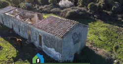 Agenzia Immobiliare a Luogosanto Ref.Canaili