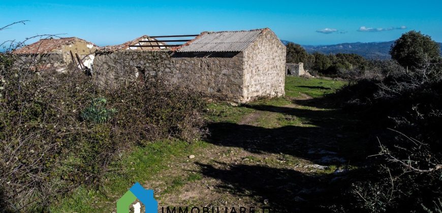 Agenzia Immobiliare a Luogosanto Ref.Canaili