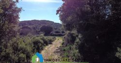 Agenzia Immobiliare a Luogosanto Ref.Canaili
