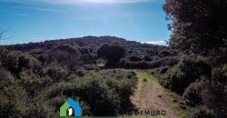Agenzia Immobiliare a Luogosanto Ref.Canaili