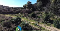 Agenzia Immobiliare a Luogosanto Ref.Canaili