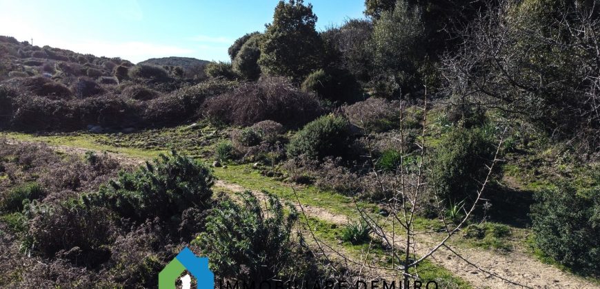 Agenzia Immobiliare a Luogosanto Ref.Canaili