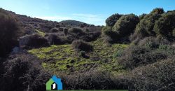 Agenzia Immobiliare a Luogosanto Ref.Canaili