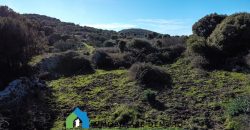 Agenzia Immobiliare a Luogosanto Ref.Canaili