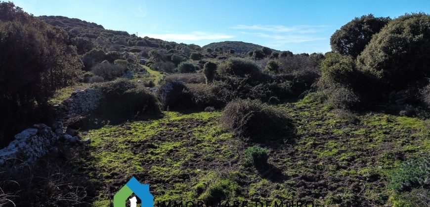 Agenzia Immobiliare a Luogosanto Ref.Canaili