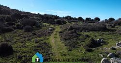 Agenzia Immobiliare a Luogosanto Ref.Canaili