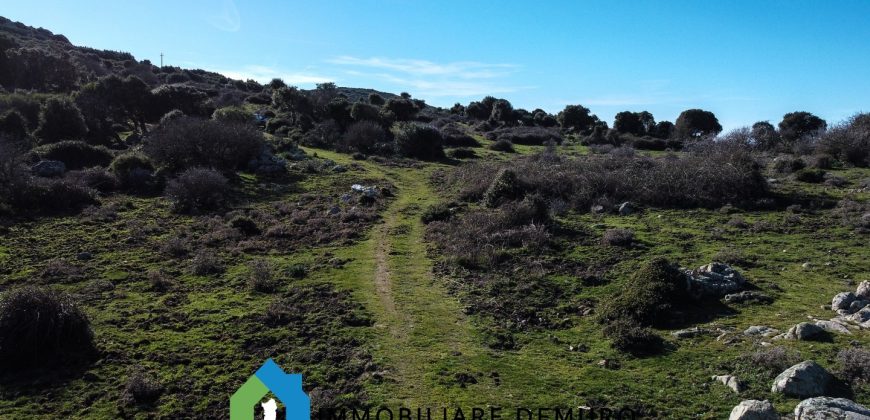 Agenzia Immobiliare a Luogosanto Ref.Canaili