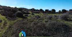 Agenzia Immobiliare a Luogosanto Ref.Canaili