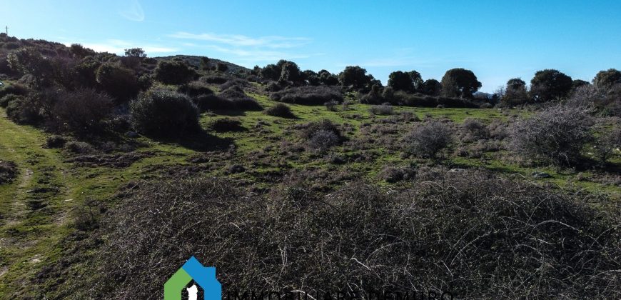 Agenzia Immobiliare a Luogosanto Ref.Canaili