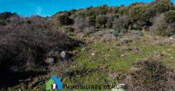 Agenzia Immobiliare a Luogosanto Ref.Canaili