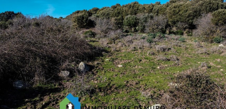 Agenzia Immobiliare a Luogosanto Ref.Canaili