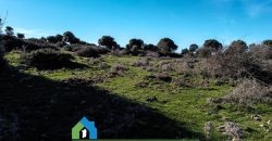 Agenzia Immobiliare a Luogosanto Ref.Canaili