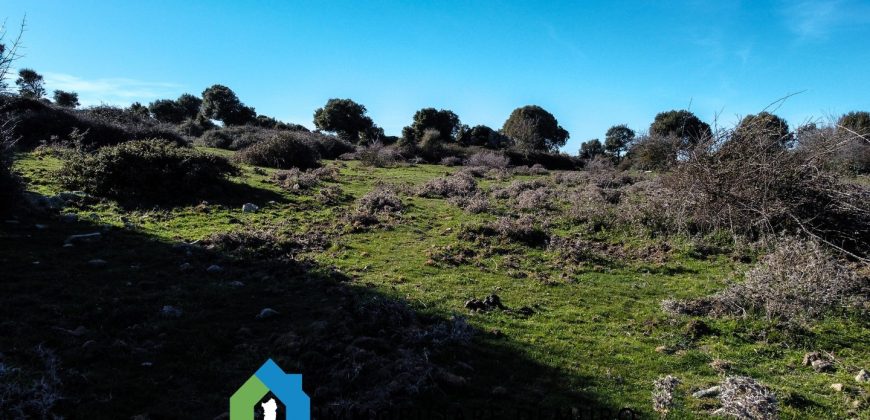Agenzia Immobiliare a Luogosanto Ref.Canaili