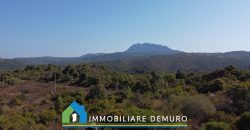 Casa di campagna in vendita a Olbia Ref.Casagliana