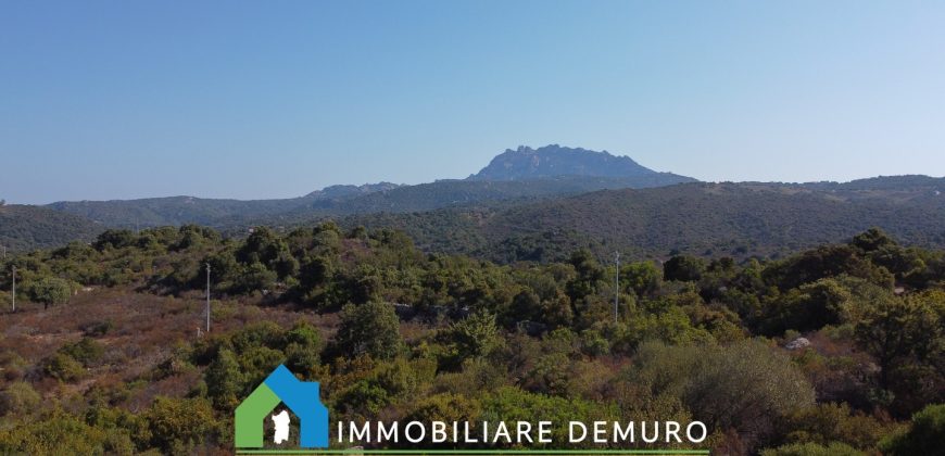Casa di campagna in vendita a Olbia Ref.Casagliana