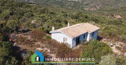 Casa di campagna in vendita a Olbia Ref.Casagliana