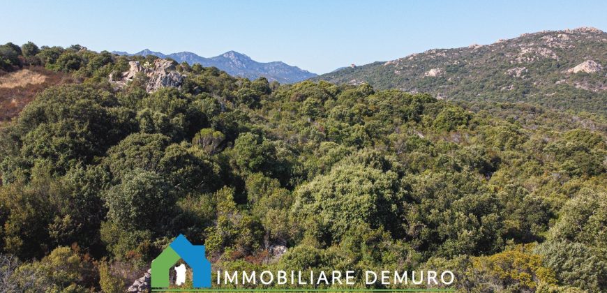 Casa di campagna in vendita a Olbia Ref.Casagliana