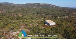 Casa di campagna in vendita a Olbia Ref.Casagliana