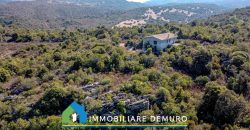 Casa di campagna in vendita a Olbia Ref.Casagliana