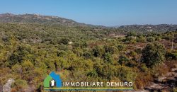 Casa di campagna in vendita a Olbia Ref.Casagliana