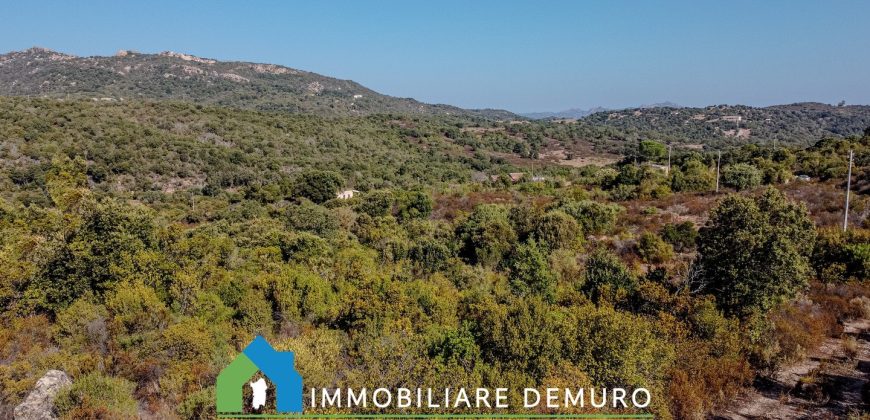 Casa di campagna in vendita a Olbia Ref.Casagliana