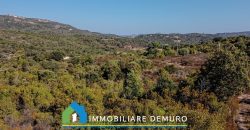 Casa di campagna in vendita a Olbia Ref.Casagliana