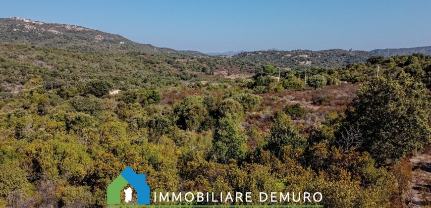 Casa di campagna in vendita a Olbia Ref.Casagliana