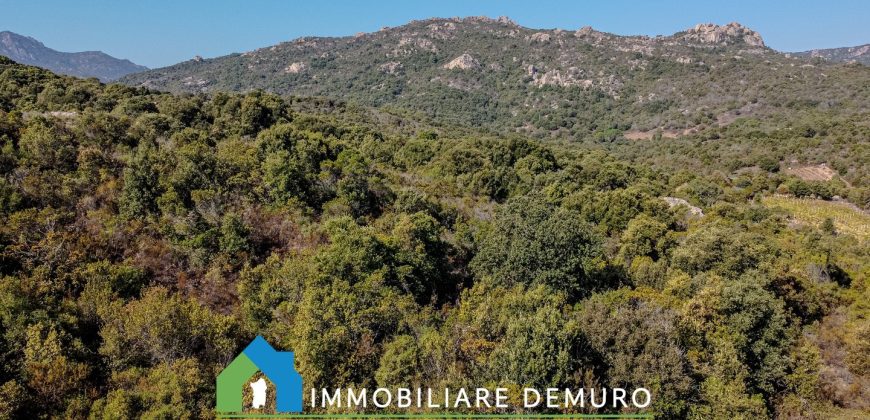Casa di campagna in vendita a Olbia Ref.Casagliana