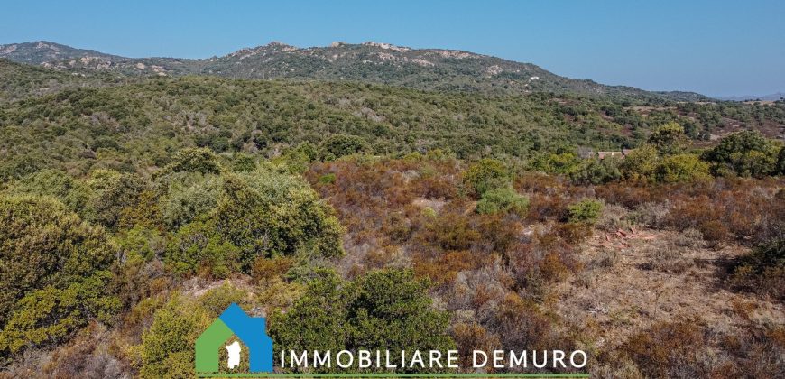 Casa di campagna in vendita a Olbia Ref.Casagliana