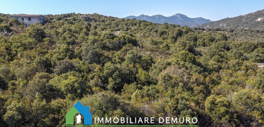 Casa di campagna in vendita a Olbia Ref.Casagliana