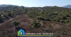 Casa di campagna in vendita a Olbia Ref.Casagliana