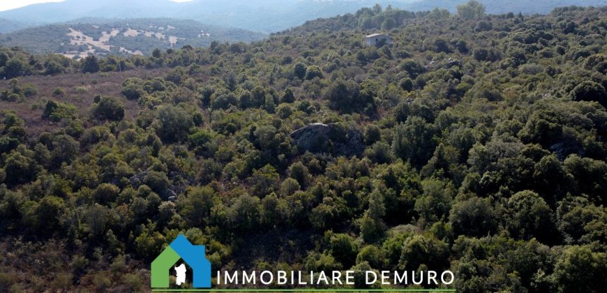 Casa di campagna in vendita a Olbia Ref.Casagliana