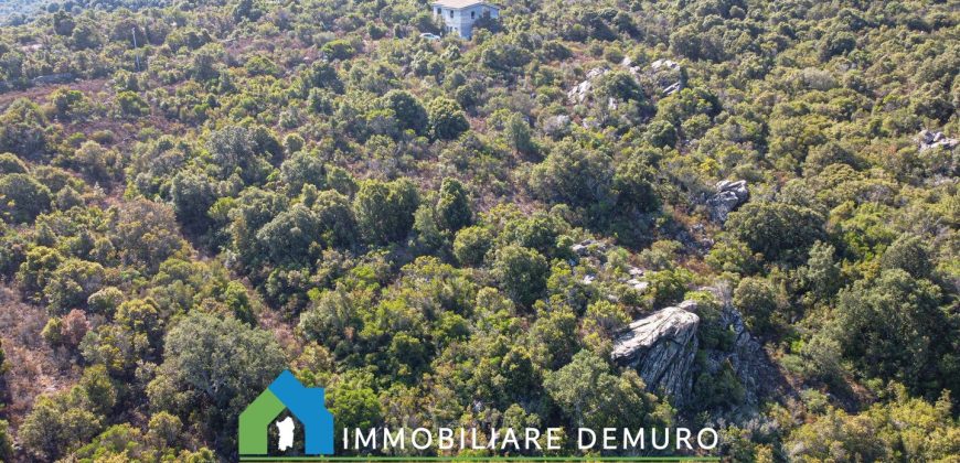 Casa di campagna in vendita a Olbia Ref.Casagliana