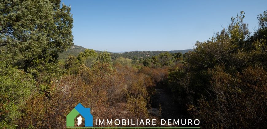 Casa di campagna in vendita a Olbia Ref.Casagliana