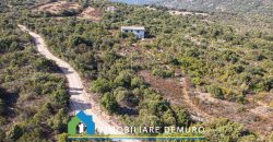 Casa di campagna in vendita a Olbia Ref.Casagliana
