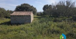 Stazzo in vendita ad Arzachena Ref.Sarraiola 2