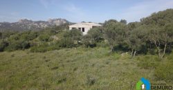 Stazzo in vendita ad Arzachena Ref.Sarraiola 2