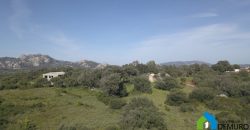 Stazzo in vendita ad Arzachena Ref.Sarraiola 2