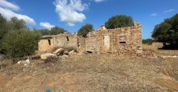 Stazzo in vendita ad Arzachena Ref.Sarraiola 2
