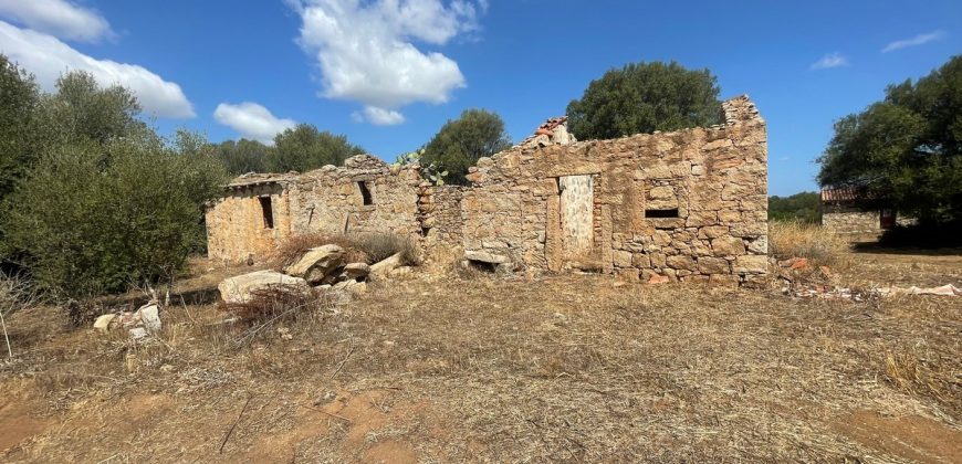 Stazzo in vendita ad Arzachena Ref.Sarraiola 2