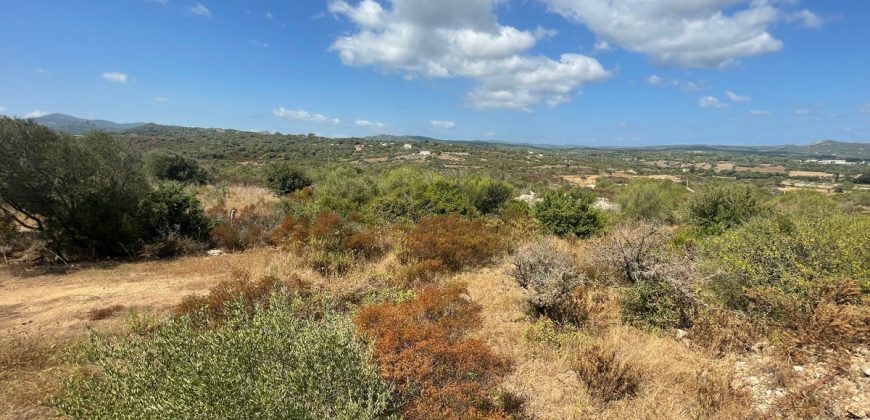 Stazzo in vendita ad Arzachena Ref.Sarraiola 2