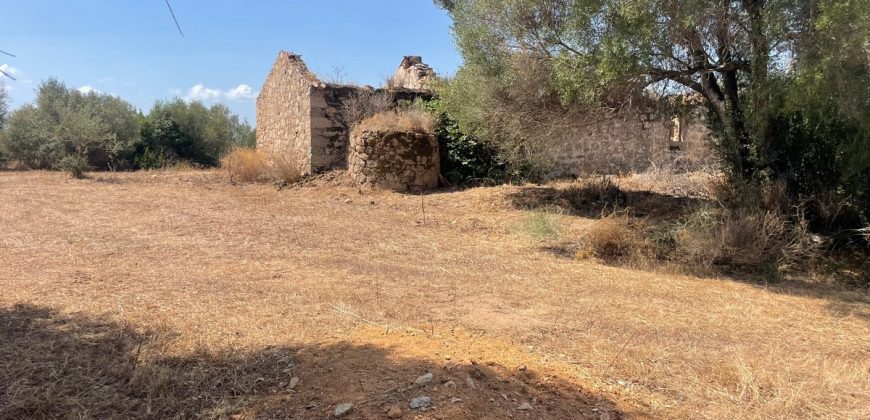 Stazzo in vendita ad Arzachena Ref.Sarraiola 2
