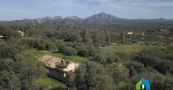 Stazzo in vendita ad Arzachena Ref.Sarraiola 2