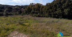 Farmhouse for sale in Telti Ref Murichintu