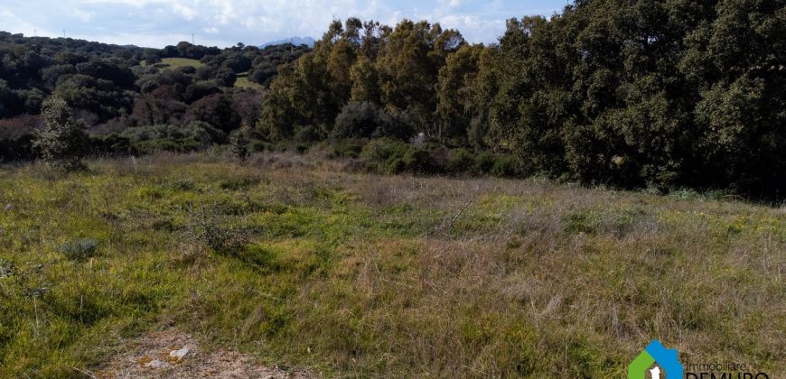 Farmhouse for sale in Telti Ref Murichintu