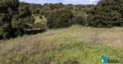Farmhouse for sale in Telti Ref Murichintu