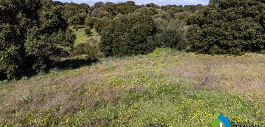 Farmhouse for sale in Telti Ref Murichintu