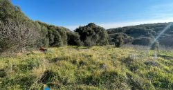 Farmhouse for sale in Telti Ref Murichintu