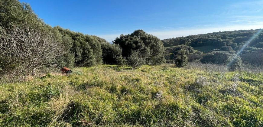 Farmhouse for sale in Telti Ref Murichintu